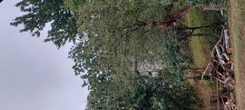 Vasvár