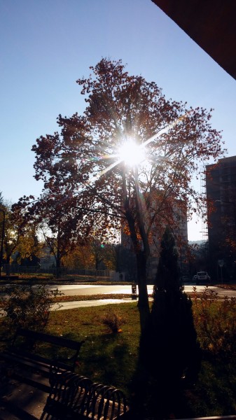 Zalaegerszeg
