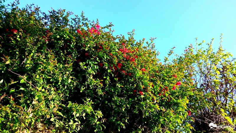 Zalaegerszeg - Egerszeghegy 