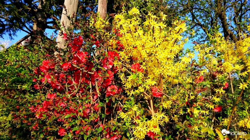 Zalaegerszeg - Egerszeghegy 