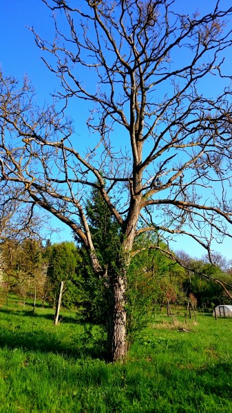 Zalaegerszeg - Egerszeghegy 
