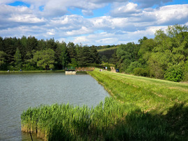 Kustánszeg