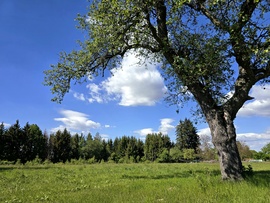 Kustánszeg 