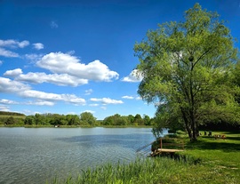 Kustánszeg