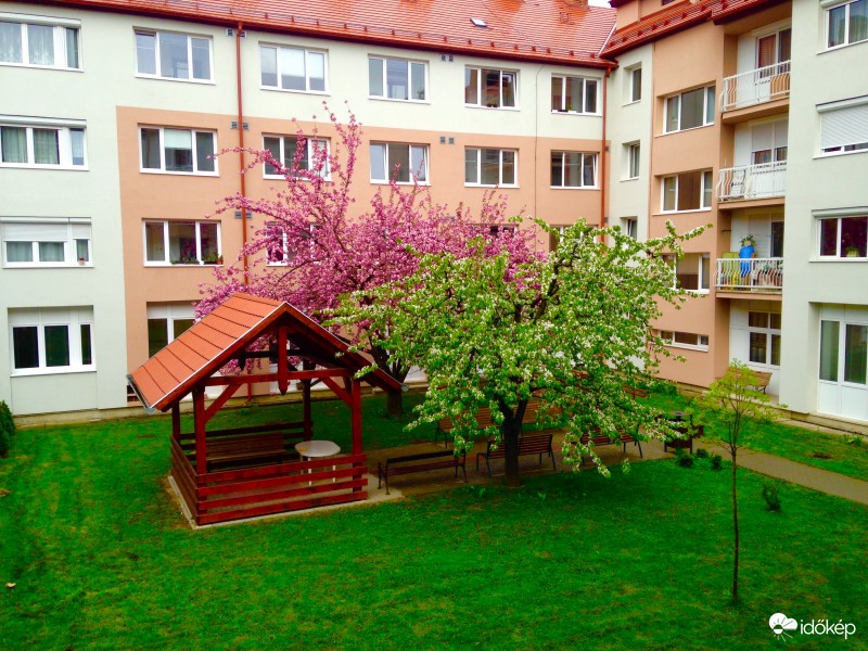 Zalaegerszeg - Nyugdíjas otthonház