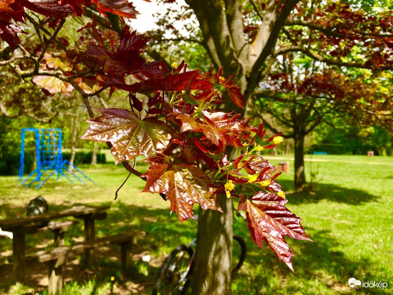 Zalaegerszeg / Gébárti - tó