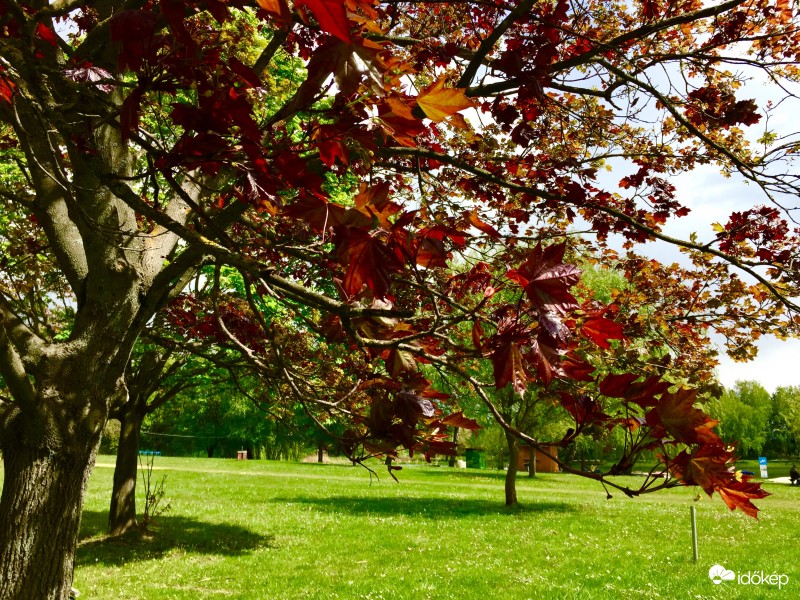 Zalaegerszeg / Gébárti - tó