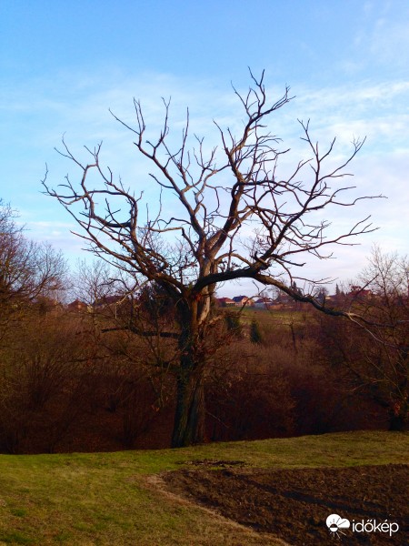 Zalaegerszeg