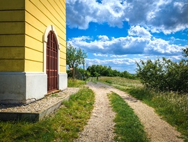 bendegoose fotója