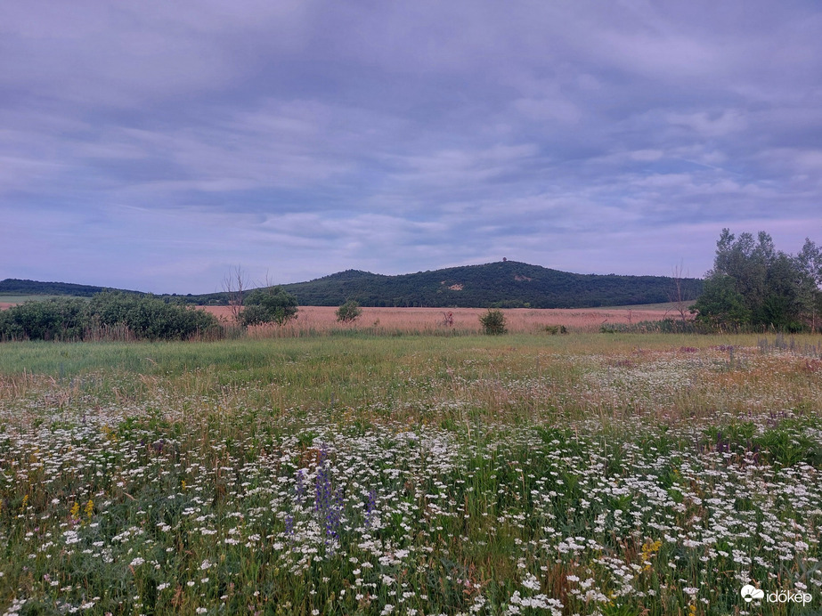 Tihany