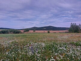Tihany