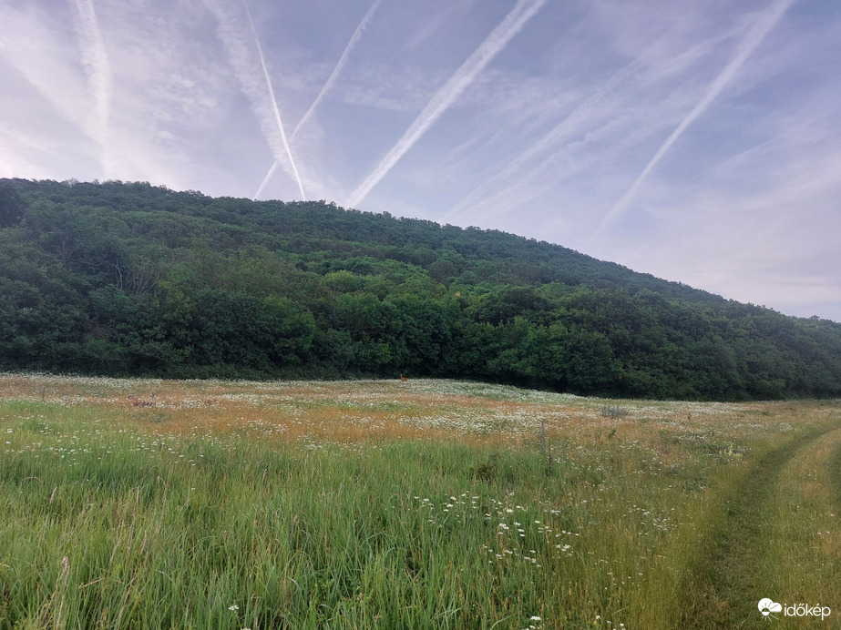 Tihany