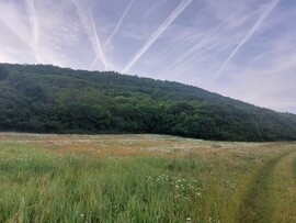 Tihany