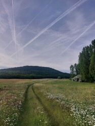 Tihany