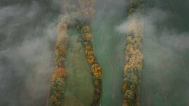 Őszi színek és egy kis köd