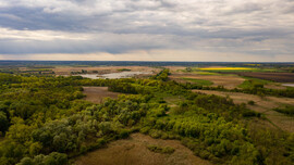 Balatonfenyves