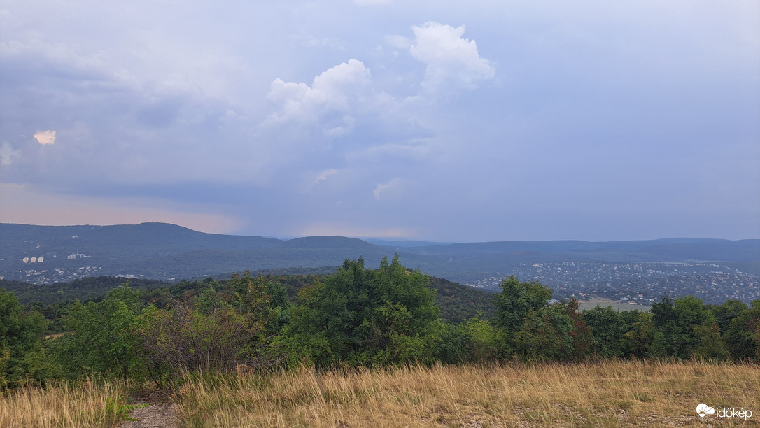 Buda