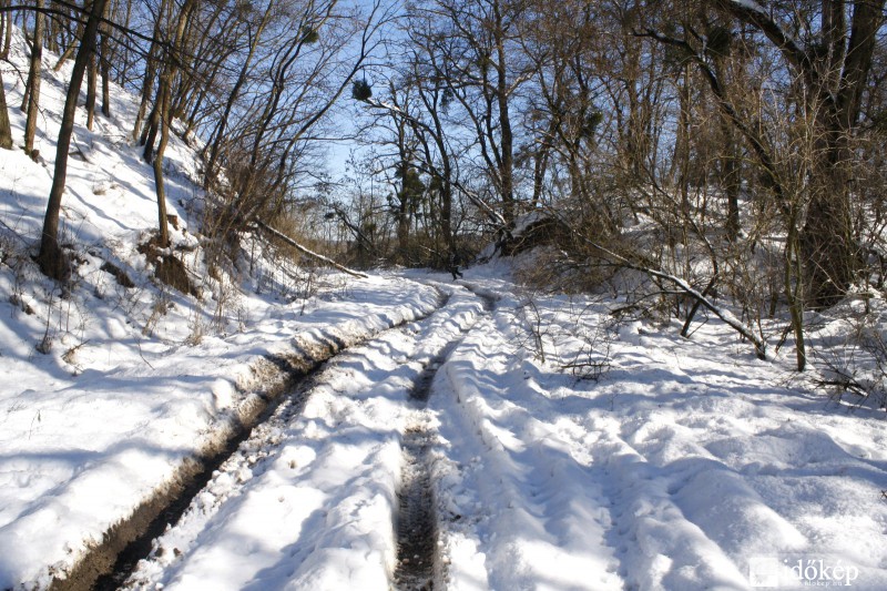 Bakony télen
