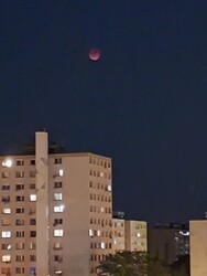 Budapest XV.ker - Pestújhely