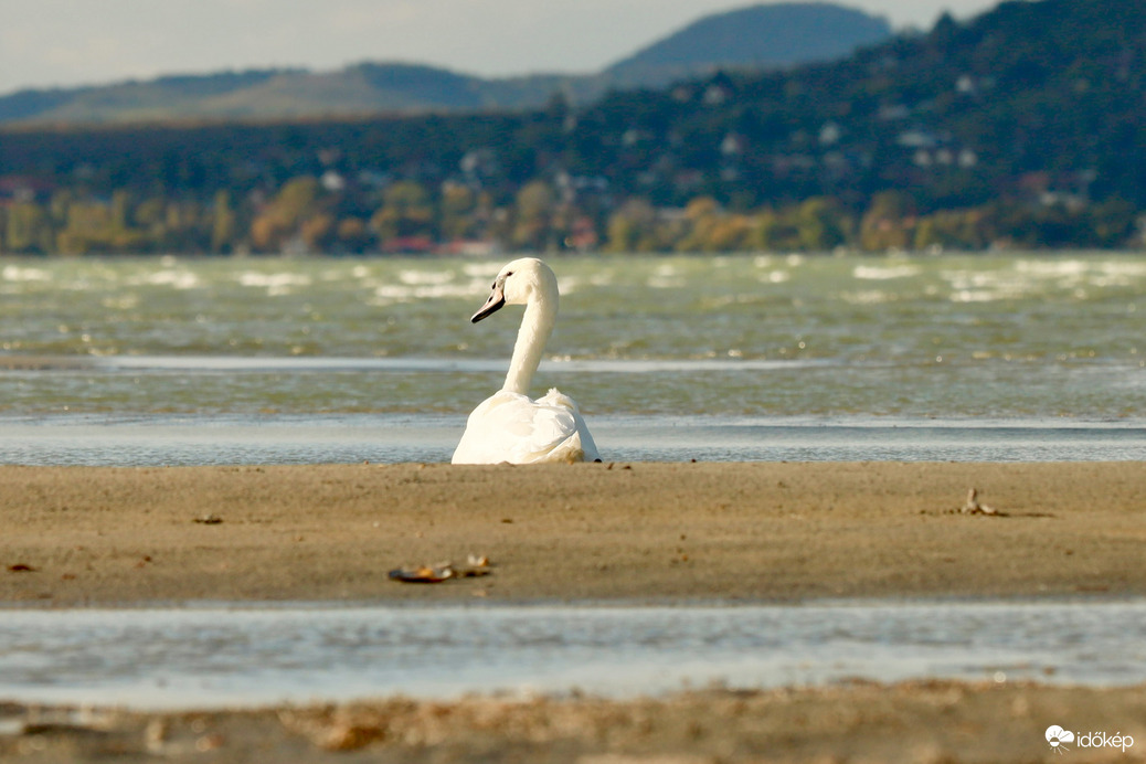 Balatonlelle