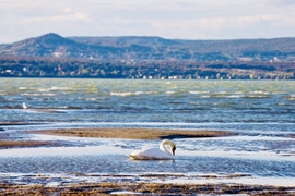 Balatonlelle