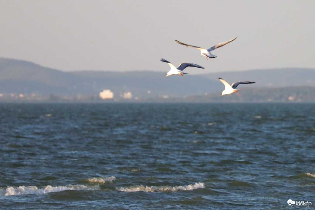 Balatonlelle