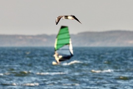 Balatonlelle