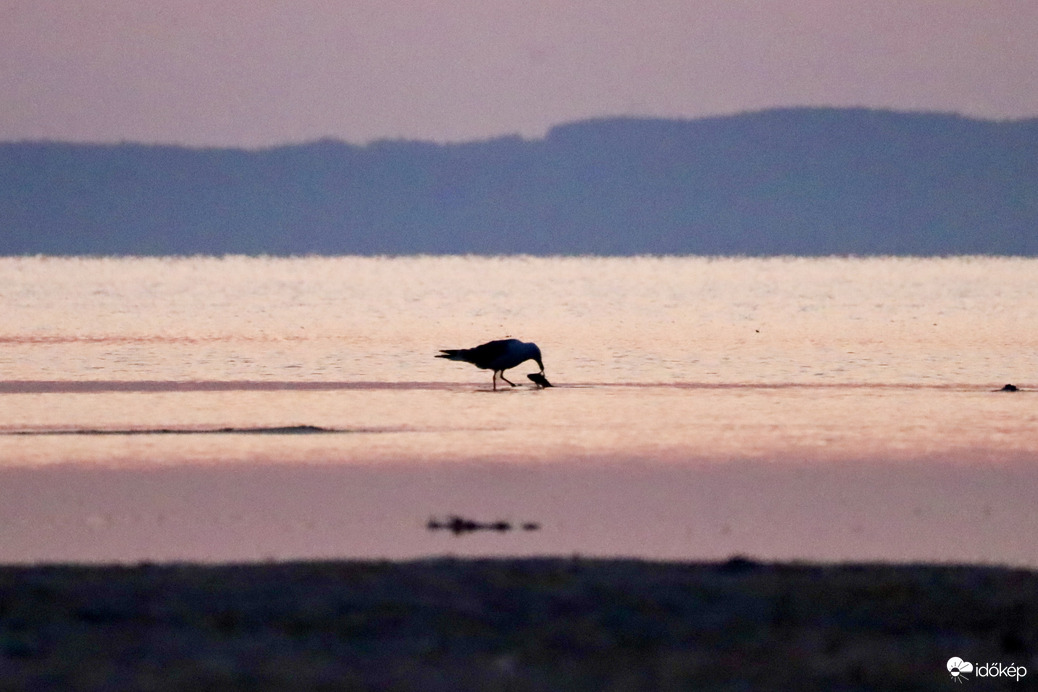 Balatonlelle