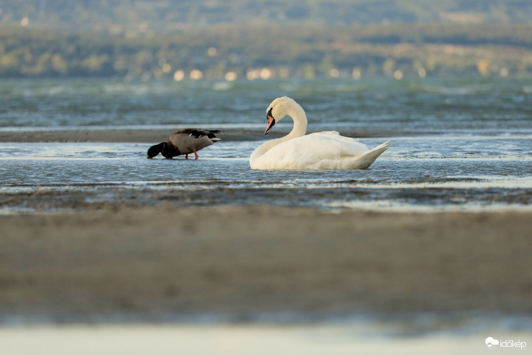 Balatonlelle