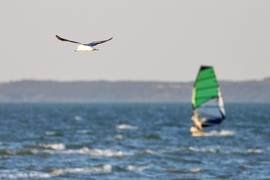 Balatonlelle