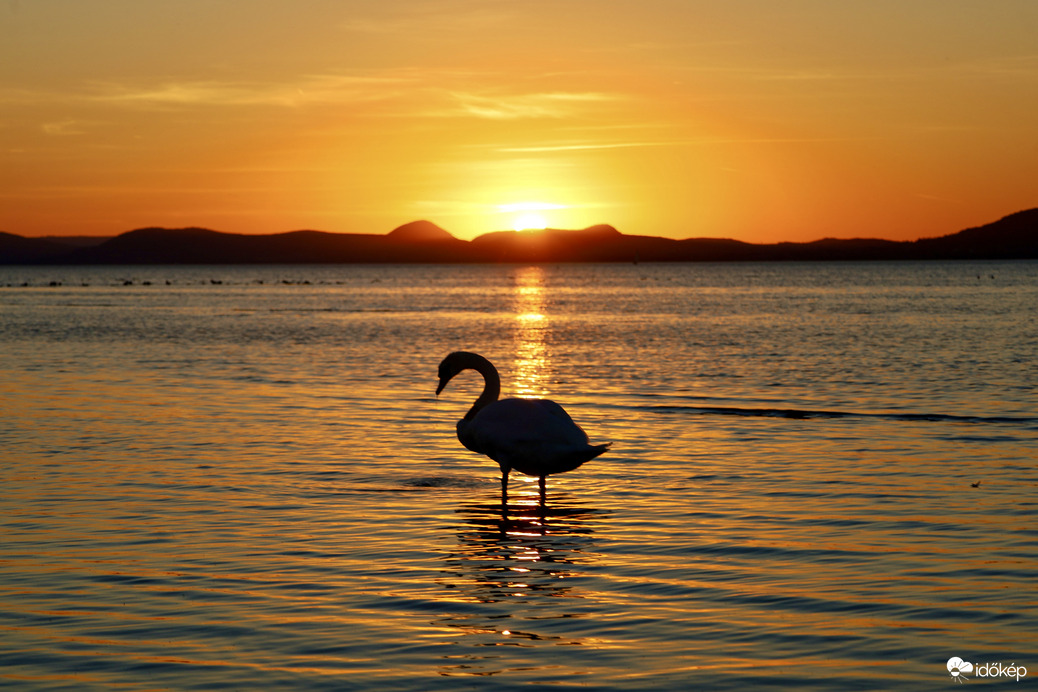 Balatonlelle