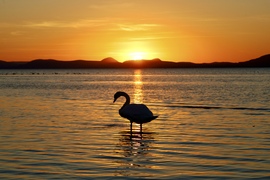 Balatonlelle