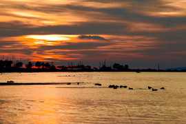 Balatonlelle