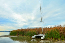 Balatonboglár