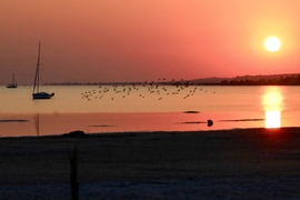 Balatonlelle