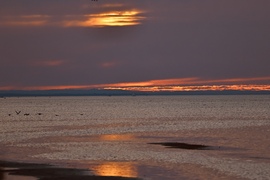 Balatonboglár