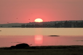 Balatonlelle