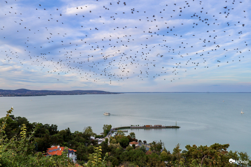 Tihany