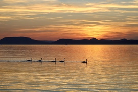 Balatonlelle