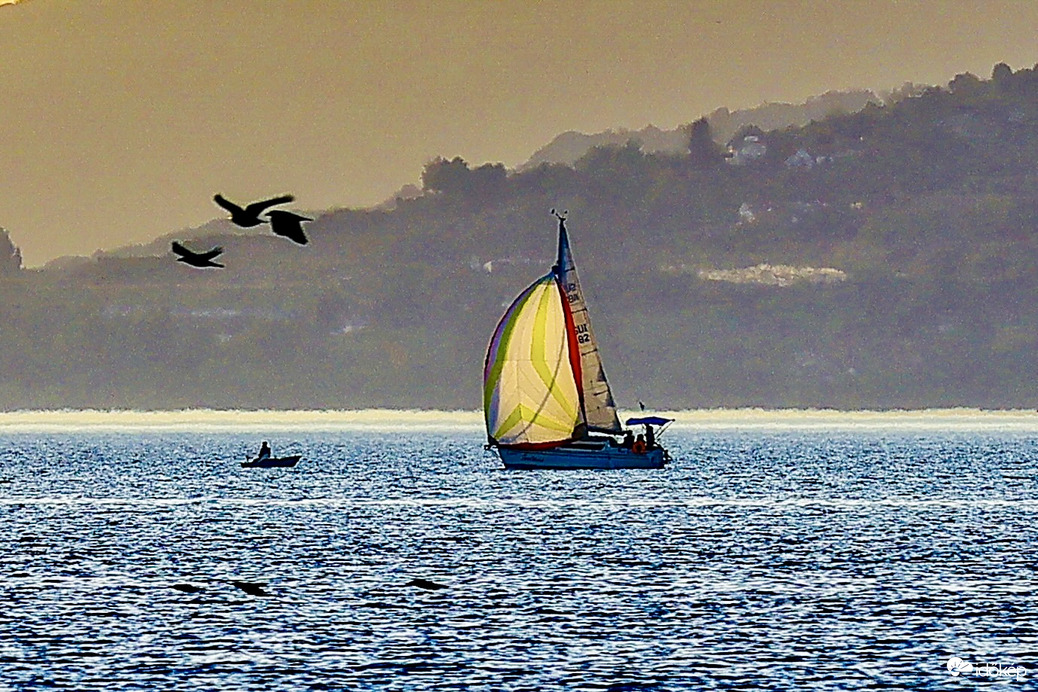 Balatonlelle
