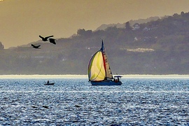 Balatonlelle