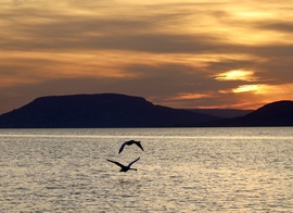 Balatonlelle