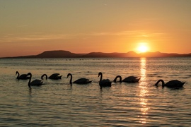Balatonlelle