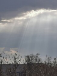 Budapest X.ker - Téglagyárdűlő