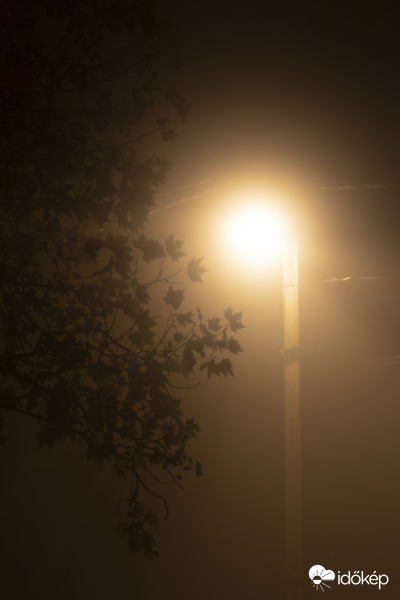Ködös este