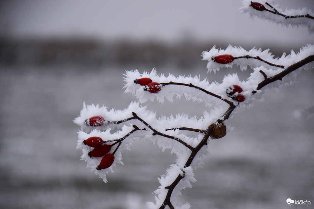 Hódmezővásárhely 