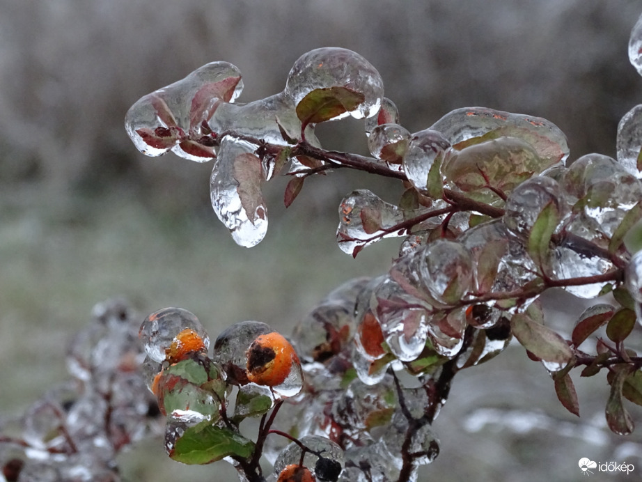 Hódmezővásárhely 