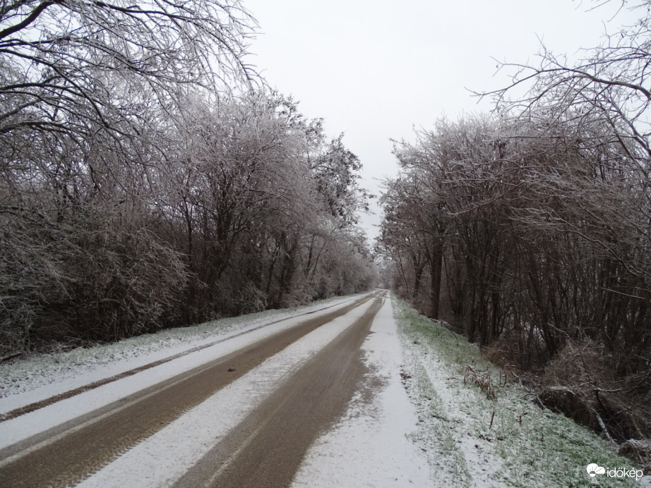 Hódmezővásárhely 