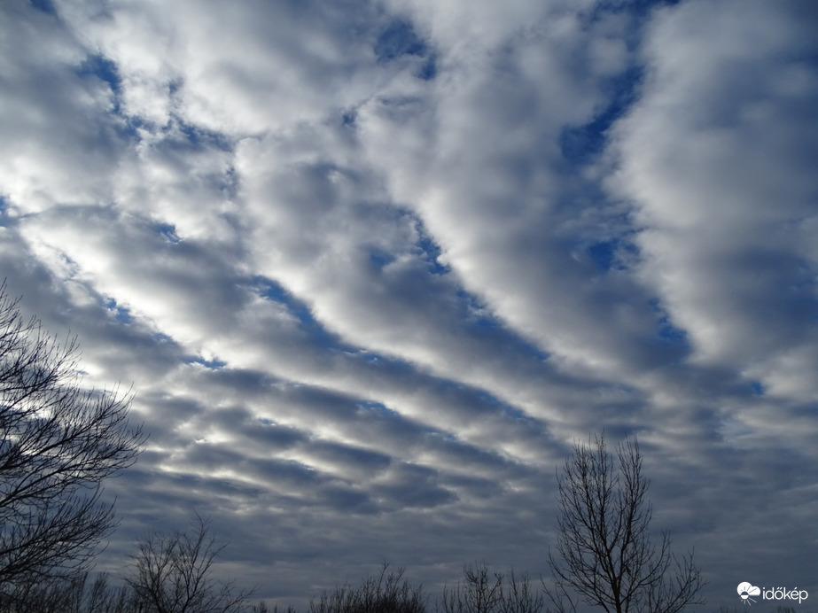 Hódmezővásárhely 