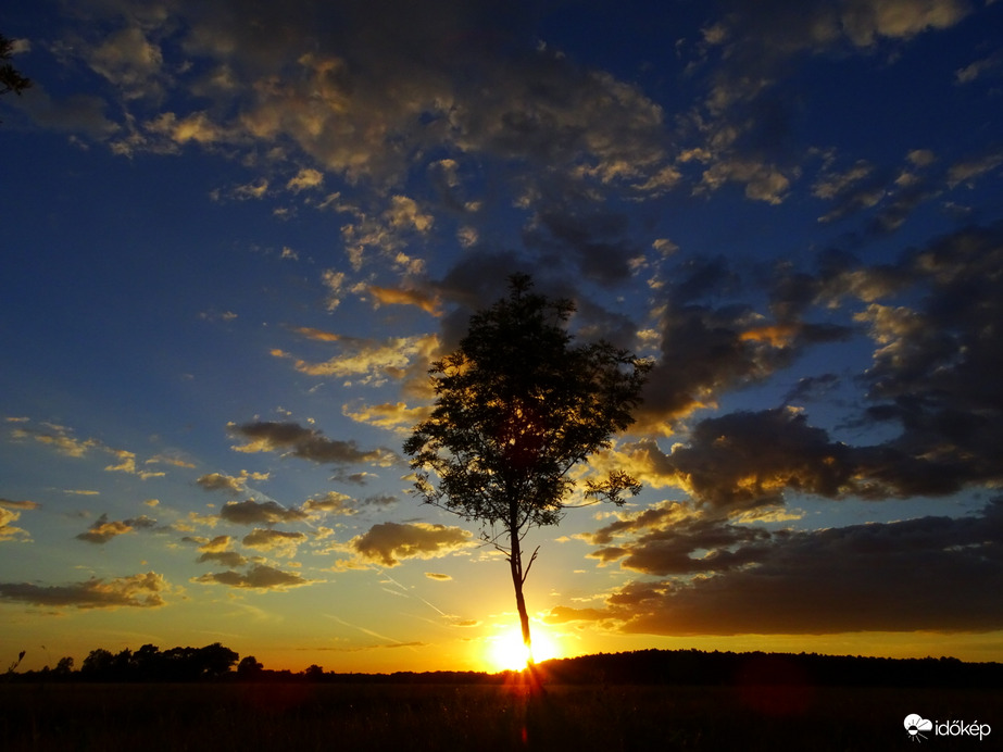 Hódmezővásárhely 